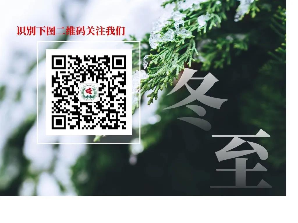 ee22dae260700fee7d59c1f053c6d46f.jpg